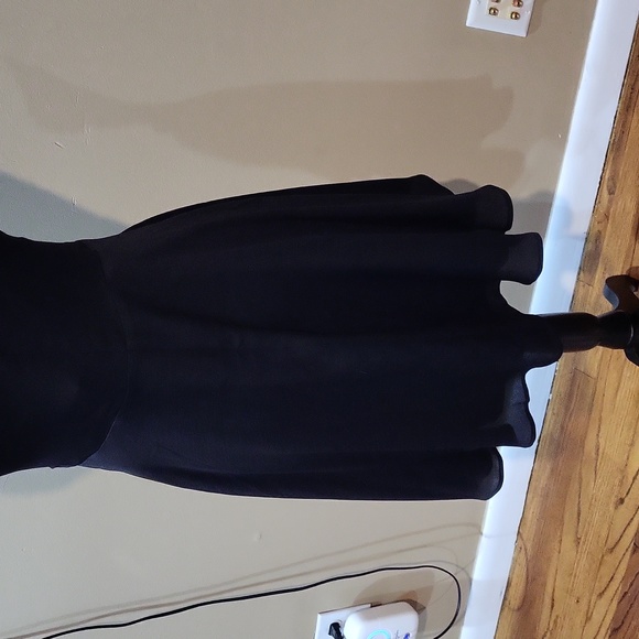 Express Dress - Picture 8 of 14